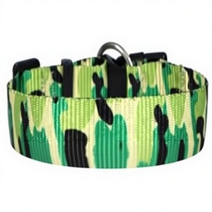 Collier tactique pour chien Urban Wolf avec quincaillerie de qualité supérieure de Divine International - Product Image 1