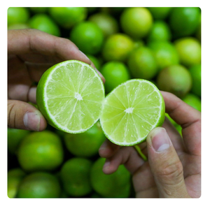 TOP EXPORT FROZEN <b>LIME</b> WHOLE FROM VIETNAM | BULK SUPPLY - Product Image 6