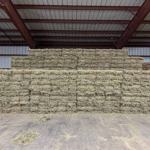 100% Natural Peanut <b>Straw</b> Hay <b>Bales</b> for Animal Feed Supply and Livestock Farm Use - Product Image 5