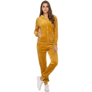 Wholesale Women's <b>Velour</b> <b>Tracksuit</b> Set 2 Piece Hooded Jogger Pants Lounge Sportswear Custom Logo Soft Casual Athletic Suit - Product Image 6