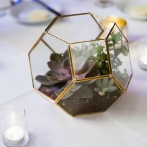 Premium Indoor Garden Metal Terrarium Glass Plant Holder Decorative Geometric <b>Display</b> <b>Case</b> Home Interior Accent - Product Image 5