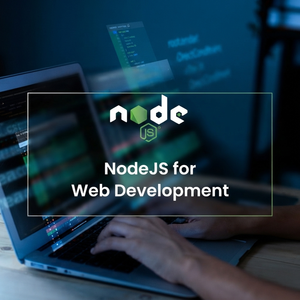 Plateformes de développement Node.js UNIVENTURE Elite et cadres de promotion d'applications backend stratégiques pour l'impact de la marque - Product Image 4