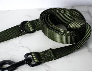 Laisse pour chien en sangle de nylon verte - Product Image 3