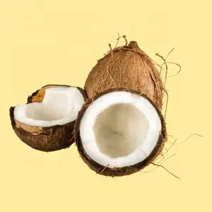 Cime di alta qualità noci secche frutta fresca disidratata frutta secca secca alimento sano cocco fresco