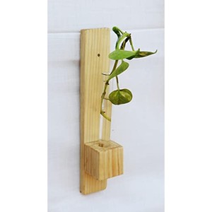 Pine Wood Wall <b>Planter</b> <b>Hooks</b>-Minimalist Eco-friendly Handmade Decorative Plant Holder Natural Color Wholesale - Product Image 3