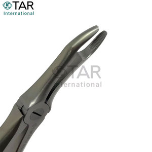Forceps d'extraction dentaire # Forceps d'extraction radiculaire 845 avec embout en TC à prise dentelée, instruments orthodontiques médicaux - Product Image 5