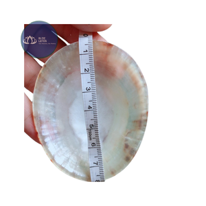 [ALTA CALIDAD] |   Conchas de Limpet Azules Trituradas a Granel |   Para la creación de posavasos de resina, manualidades DIY, Vietnam - Product Image 4