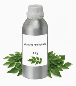 Huile de feuilles de curry en vrac (Murraya koenigii) au prix de gros - Product Image 1