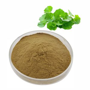 ผงใบบราห์มี OEM ODM 100% สำหรับการเจริญเติบโตของเส้นผม 100% จากธรรมชาติ ไม่มีสารกันบูด ช่วยลดการหลุดร่วงของเส้นผมและกระตุ้นการเจริญเติบโตของเส้นผม - Product Image 4