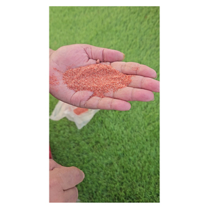 Muriato de Potasio MOP 99% de Pureza, Liberación Rápida, Granulado, Suministro a Granel para Mercados Agrícolas - Product Image 4