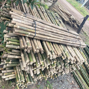 Varas de Bambú Premium para Construcción, Jardinería y Decoración con Calidad Duradera a un Precio Muy Asequible - Product Image 1