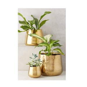 Macetas Modernas para Plantas de Interior, Hechas a Mano, Elegantes, Disponibles al por Mayor - Product Image 5