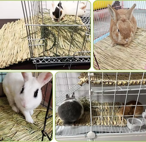 Tapis en herbe naturelle pour lapins, tapis de foin tissé comestible, litière à mâcher, doublure de cage, coussin rafraîchissant pour petits animaux - Product Image 5