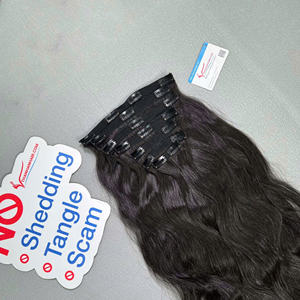 Extensions de cheveux humains vietnamiens de luxe Clip ins Pas d'enchevêtrement Pas de perte Expédition dans le monde entier Prix de gros - Product Image 5