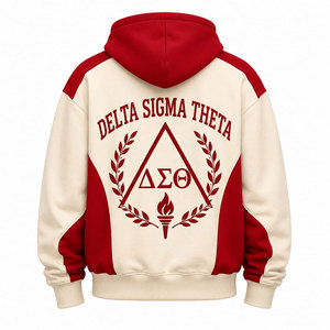 Sweat-shirt unisexe décontracté Delta Sigma Theta rouge beige à manches raglan avec logo frontal et motif torche - Product Image 6