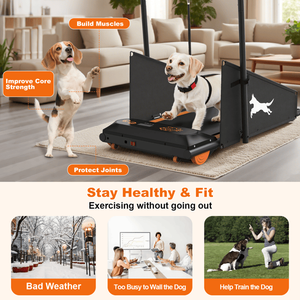 Tapis Roulant per Cani Resistente, Macchina per la Corsa per Cani di Taglia Piccola e Media fino a 100 kg, Voltaggio CC, Test della Frequenza Cardiaca Non Incluso - Product Image 4
