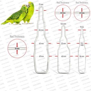 Professional Avian Oral Speculum Set 3pcs Stainless Steel Veterinary Bird Mouth Gag Instrument <b>Kit</b> Vaslcare - Product Image 4