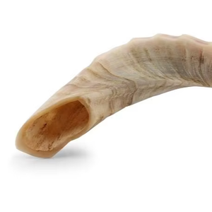 Grand Shofar traditionnel en corne de buffle, instrument sculpté avec motif d'amour - Product Image 1