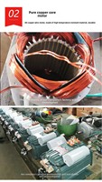 Machine à couper l'herbe et la paille pour l'alimentation animale, capacité de 3 tonnes/h, garantie 1 an, 3 kW, hacheuse à paille électrique