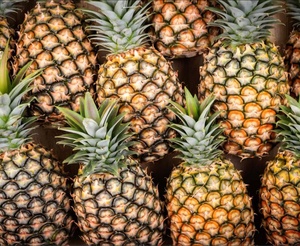 Piña Fresca de Primera Calidad, Cosechada en Granja, Fruta Tropical Dulce, Suministro al por Mayor para Mercados Minoristas, Consumo Diario, Ocean Link - Product Image 5