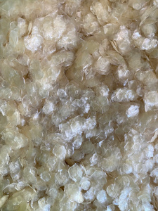 BEST PRICE DRIED <b>FISH</b> SCALES - DECALCIFIED <b>FISH</b> SCALES - the COMPETITIVE PRICE DECALCIFIED <b>FISH</b> SCALES/ Ms. Lima - Product Image 5