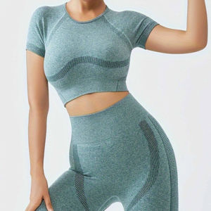 Service OEM Pantheraint, vêtements de fitness hautement élastiques, ensemble de vêtements de sport sans couture, leggings ajustés, ensemble deux pièces pour femmes, évacuation de l'humidité - Product Image 2