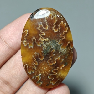 Cabujón Ovalado de Amonita con Sutura Natural para Joyería, 44x29x6 mm. 71 Ct. E780 - Product Image 1