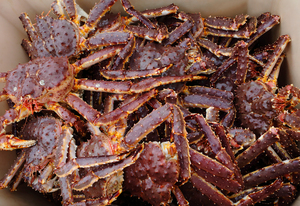 Crabes royaux rouges congelés frais de haute qualité, entiers, provenant de Norvège, pour usage en restaurant, conditionnés en caisses isothermes, viande de crabe à vendre - Product Image 6