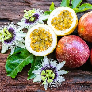 POLVO DE FRUTA DE LA PASIÓN PURA PARA TÉ DE BURBURRAS, YOGUR Y LA INDUSTRIA DE BEBIDAS - Product Image 3