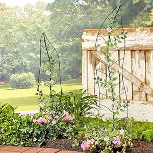โครงเหล็กตกแต่งสวนสไตล์โมเดิร์นหรูหรา ลายใบไม้สีเขียว สำหรับพืชเลื้อยและตกแต่งดอกไม้ ชุด 2 ชิ้น - Product Image 3