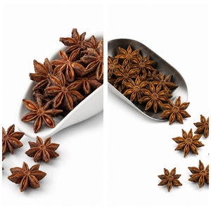 Factory Price International Standard Top Selling Factory In Vietnam Delicious Star Anise Bulk Supply - Product Image 4