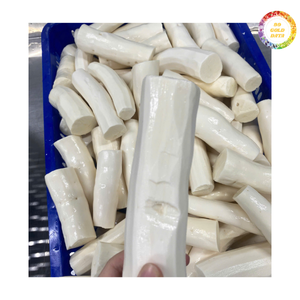 Raíz de Yuca Congelada de Primera Calidad, Tamaño Uniforme, Corte Limpio, Cadena de Suministro Confiable, Precio Atractivo para Importadores y Distribuidores - Product Image 4