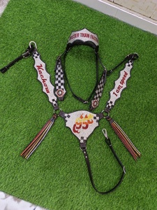 Accesorios para Caballos de Primera Calidad 2026, Cabezada de Cuero Personalizada con Pechera para Montar a Caballo, Color Marrón - Product Image 1