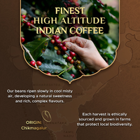 Kapsul Kopi Rasa Hazelnut Coffeeza 100% Arabika, Aroma Hazelnut Panggang yang Kaya, Grosir & Partai Besar, HORECA & Eceran