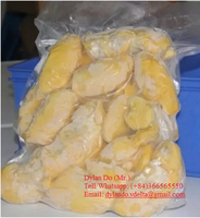 Premium Vietnamese Durian Leverancier |   Verse & diepvriesdurian voor export – groothandelsprijs per bulk // Mr. Tom