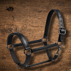 Harnais pour cheval en cuir véritable de qualité professionnelle, personnalisable avec logo, noir, marron ou beige, en cuir épais de selle, best-seller - Product Image 1
