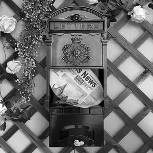 Panneau d'entrée pour boîte aux lettres extérieure, antirouille, durable, pour protection contre l'exposition saisonnière, fixation murale extérieure en Inde - Product Image 4