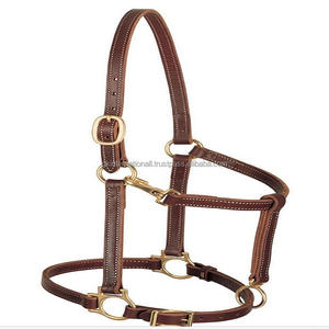 Cabestro de caballo de cuero de calidad premium con herrajes chapados en latón fuertes y duraderos, cabestro ajustable de doble costura - Product Image 2