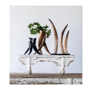 Bull Horn Decor Handmade Polished Wall Horns <b>table</b> top decorative items and customized size - Product Image 1