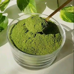 Polvo de Moringa 100% Auténtico, Probado en Laboratorio, Certificado GMP y Sin OMG, Calidad de Exportación - Product Image 1