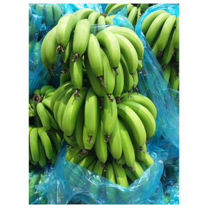 Plátano Cavendish Verde Fresco del Reino Unido 13 kg / Dónde Comprar Plátanos Frescos Premium Sin OMG al por Mayor - Product Image 2