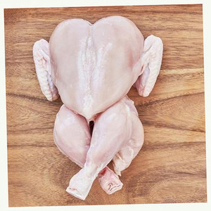 ไก่แช่แข็งฮาลาลคุณภาพสูง ขายส่งเนื้ออกไก่แช่แข็ง - Product Image 4