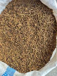 Varillas de Clavo Secas Aromáticas de Origen Indonesio, Pedido a Granel B2B, Especias, Materia Prima, MOQ 24 Toneladas FCL 25kg Global - Product Image 4