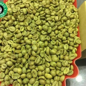 Bulk Vietnam <b>Robusta</b> <b>Coffee</b> <b>Beans</b> Natural Green Unroasted OEM ODM Export Grade <b>Coffee</b> Seed Moisture 12% Supply - Product Image 1