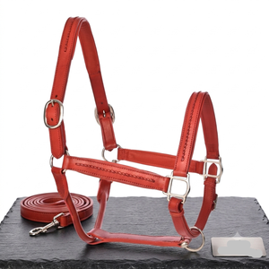 Lujoso Cabestro Acolchado para Caballo en Cuero Negro, Marrón y Bronce, con Cabezal Trenzado a Mano en Cuero Genuino y Herrajes de Latón - Product Image 2