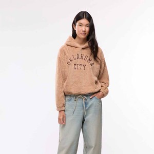 Soft Sherpa Fleece Hooded Sweatshirts Hudi Casual Street Wear Warm <b>Fur</b> Hoodies Custom Embroidery Oversized Pullover <b>Hoodie</b> Men - Product Image 2
