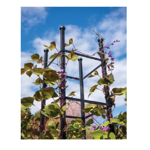 Obelisco del Essex Square - Product Image 4