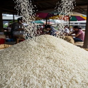 Arroz Jazmín al por Mayor, Arroz Blanco Aromático de Grano Largo Vietnamita, Fresco, de Grano Duro, Estándar de Exportación - Product Image 4