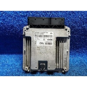 ECUs y Módulos de Computación Usados para Carnaval 391002F070 - Product Image 1