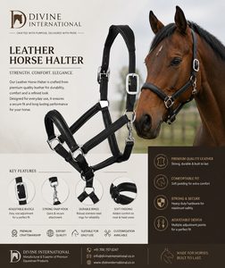 Harnais de cheval en cuir de qualité supérieure, couleur personnalisée, quincaillerie, vente en gros, usine de Divine International Uttar Pradesh - Product Image 4